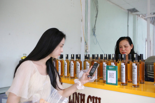 Doanh nghiệp tư nhân chuyển đổi số để vươn mình