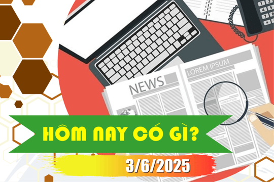 Hôm nay có gì? Ngày 3/6/2025