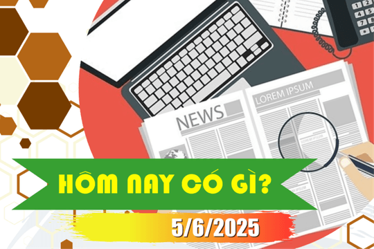 Hôm nay có gì? Ngày 5/6/2025