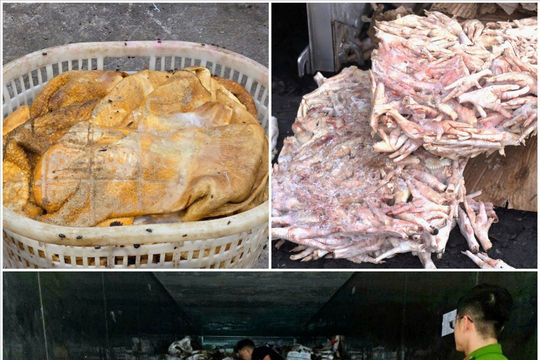 Quảng Ninh: Tiêu hủy hơn 25 tấn thực phẩm đông lạnh không rõ nguồn gốc, bốc mùi hôi thối