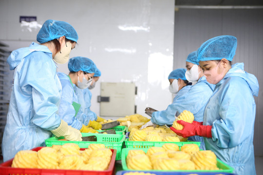 Truy xuất nguồn gốc - chìa khóa bảo vệ người tiêu dùng