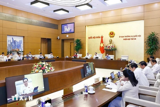 Hoàn thiện thể chế pháp luật về đầu tư, đấu thầu, thuế và quản lý tài sản công