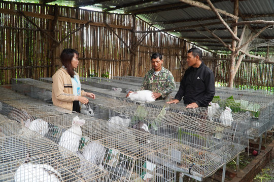 Lan tỏa sâu rộng các phong trào thi đua yêu nước