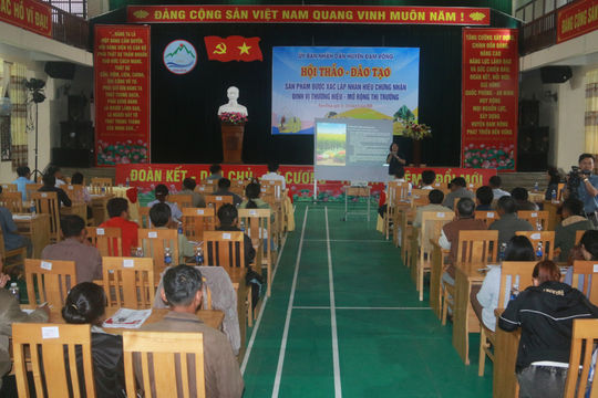 Đam Rông phối hợp tổ chức hội thảo – đào tạo truyền thông hỗ trợ quảng bá sản phẩm địa phương