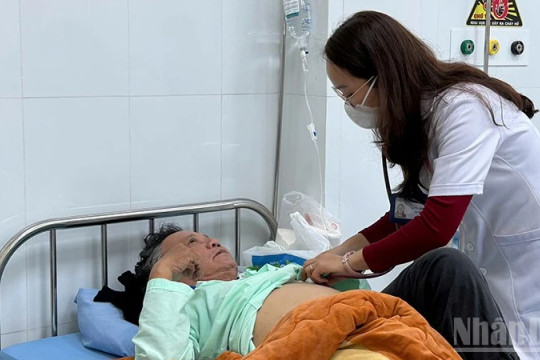 Lâm Đồng: Liên tiếp ca ngộ độc nấm rừng, chuyên gia khuyến cáo không tự nếm thử các loại nấm chưa được kiểm chứng