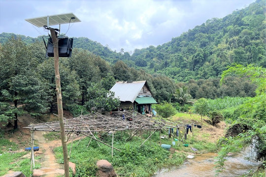 Thu hồi 5,5 ha đất lâm nghiệp giao cho Công ty Quân Ngọc tại huyện Đạ Huoai
