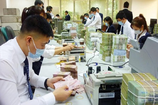 Chính phủ quy định quản lý, sử dụng vốn, tài sản của tổ chức tín dụng