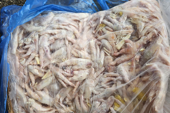Cao Bằng: Phát hiện, thu giữ khoảng 8.500kg thực phẩm đông lạnh không rõ nguồn gốc