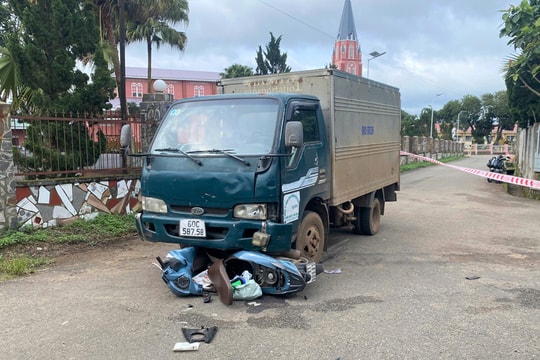 Bảo Lộc: Xe máy do người phụ nữ điều khiển chở 3 trẻ em va chạm với xe tải, khiến 2 người thương vong