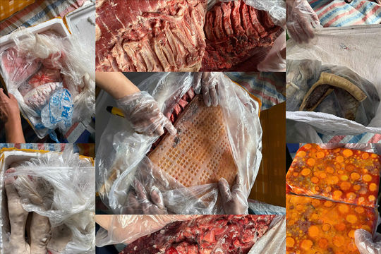 Nam Định: Phát hiện hơn 20 tấn sản phẩm động vật đông lạnh không rõ nguồn gốc