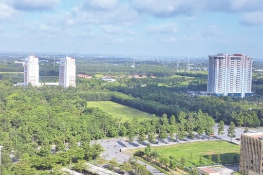 Xã hội hóa trồng cây xanh ở tỉnh Bình Dương