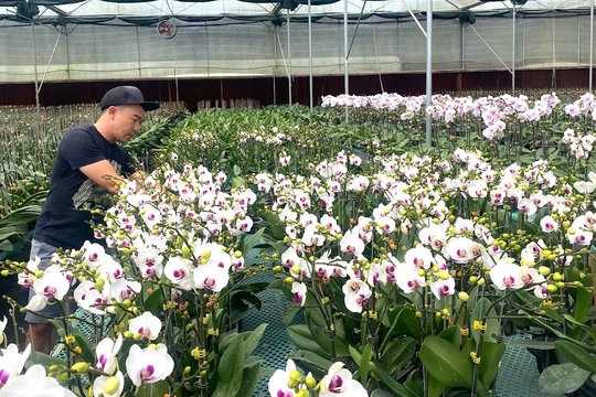 Chủ động nguồn nước tưới cây trồng