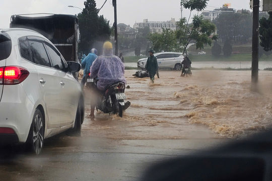 Đà Lạt: Mưa lớn gây ngập cục bộ tại một số tuyến đường