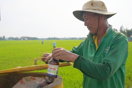 Ủy ban nhân dân cấp xã có trách nhiệm tổ chức thu gom, xử lý bao gói thuốc bảo vệ thực vật sau sử dụng từ ngày 01/7/2025