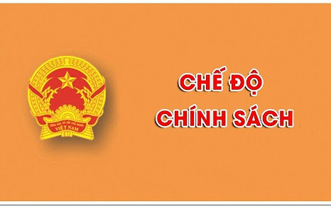Tinh giản biên chế: Chính sách nghỉ hưu trước tuổi