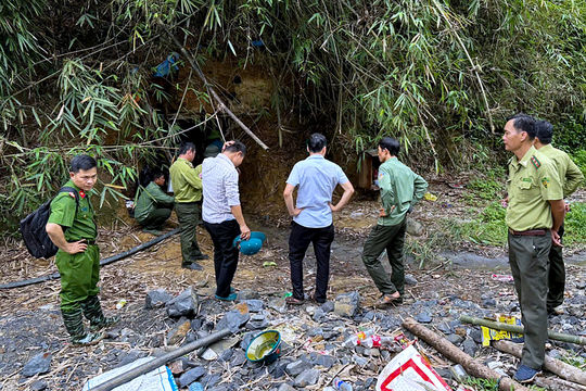 Vàng tặc lộng hành trong rừng phòng hộ Đắk Nông