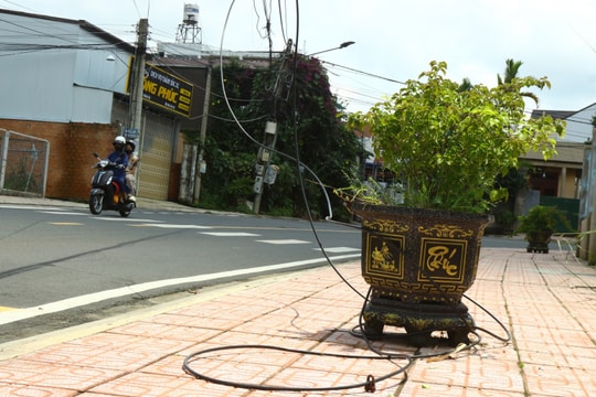 Bảo Lộc: Người dân lo lắng vì dây cáp đứt rơi xuống đường