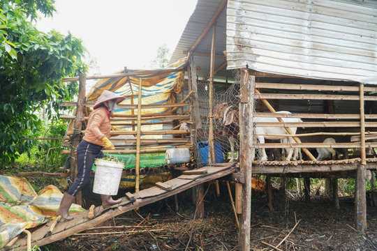 Động lực thoát nghèo từ mô hình hỗ trợ sinh kế ở Quảng Sơn