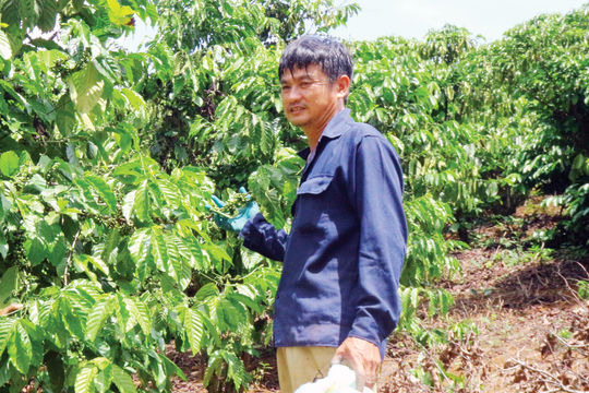 Diện mạo mới ở vùng căn cứ xưa