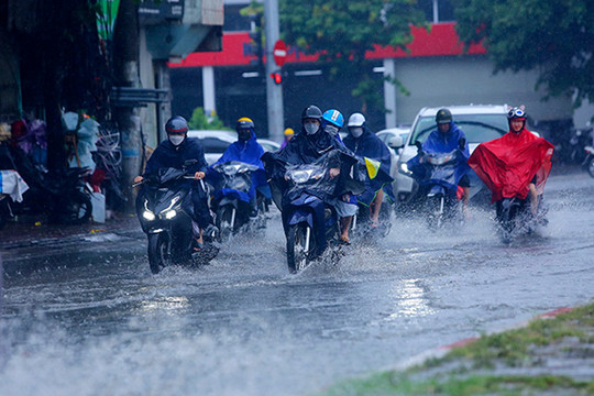 Thời tiết ngày 24/6: Tây Bắc và Tây Nguyên, Nam Bộ tiếp tục có mưa rào