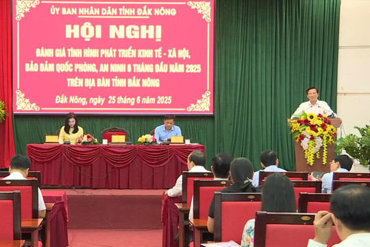 Hội nghị đánh giá tình hình phát triển kinh tế- xã hội 6 tháng đầu năm