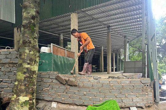 Tăng cường công tác quản lý trật tự xây dựng, đô thị, vệ sinh môi trường, đất đai và bảo vệ rừng