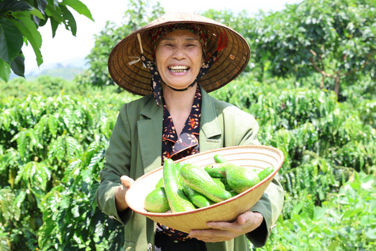 Nông dân Đạ Đờn nâng tầm nông sản