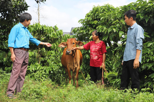 Cư Jút giảm nghèo đa chiều từ chương trình MTQG