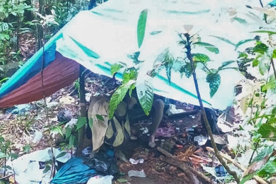 Bảo Lộc: Phát hiện người đàn ông đi hái lan rừng tử vong trong rừng sâu