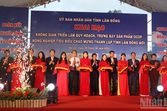 Lâm Đồng: Khai mạc triển lãm quy hoạch, trưng bày, giới thiệu sản phẩm OCOP, nông nghiệp tiêu biểu