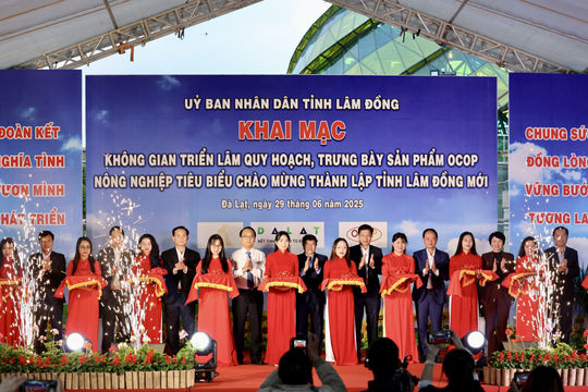 Khai mạc Không gian triển lãm quy hoạch; trưng bày, giới thiệu sản phẩm OCOP, nông nghiệp tiêu biểu, chào mừng thành lập tỉnh Lâm Đồng mới