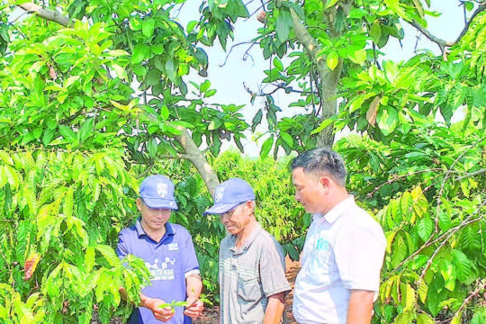 Lan tỏa phong trào nông dân sản xuất giỏi