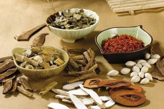 Trình tự công bố chất lượng vị thuốc cố truyền, dược liệu
