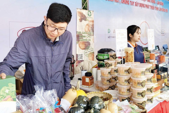 Phát triển kinh tế hợp tác xã - nhìn từ những mô hình mẫu