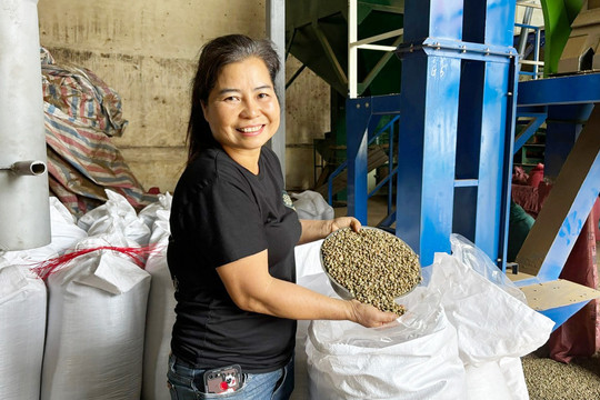 Like Farm kể chuyện cà phê xuất khẩu