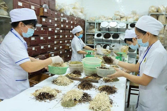 Bất ổn từ “lương y” tự phong, thuốc nam online