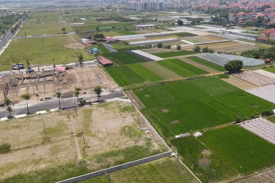 Biện pháp xử lý hành vi sử dụng đất sai mục đích
