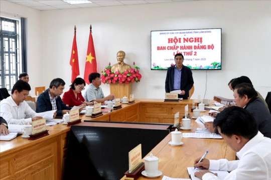 Ban Chấp hành Đảng bộ Các cơ quan Đảng tỉnh thảo luận, thống nhất cao nhiều nội dung thuộc thẩm quyền