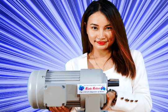 Minhmotor đơn vị cung cấp giải pháp động cơ chất lượng tại Việt Nam