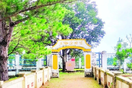 Cây mít tổ nơi biên giới Quảng Trực