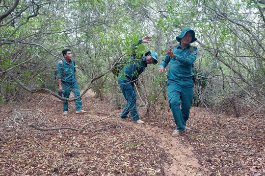 Chú trọng bảo vệ và phát triển rừng