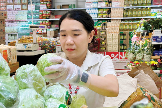 Kinh tế tư nhân kiến tạo phát triển