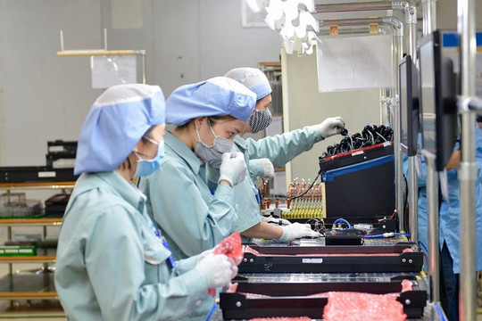 TOÀN VĂN: Luật Việc làm