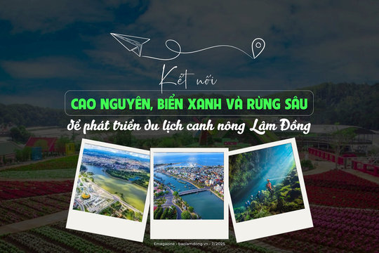 Kết nối cao nguyên, biển xanh và rừng sâu để phát triển du lịch canh nông Lâm Đồng