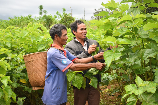 Đồng bào các dân tộc thiểu số đoàn kết, đồng lòng hướng đến một giai đoạn phát triển mới 
