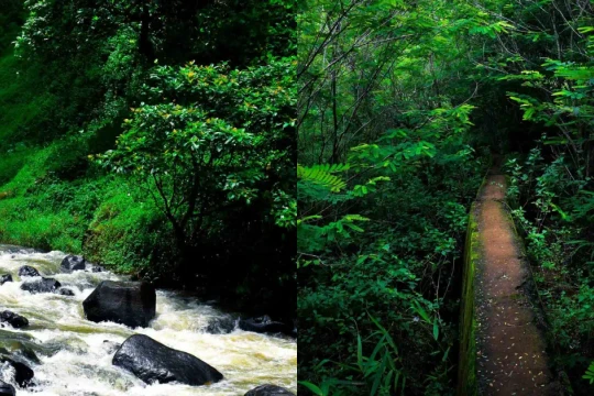‘Trốn nóng’ ở thác Liêng Nung