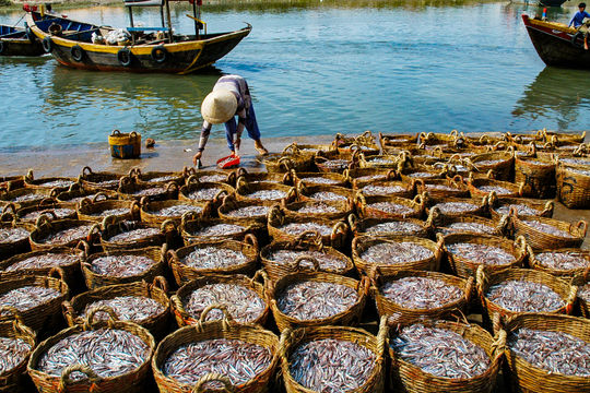 “Hương vị” biển mùa gió Tây Nam
