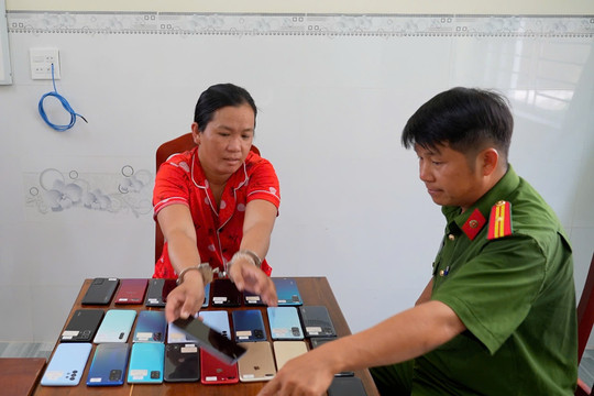 Bắt nữ quái thực hiện hơn 20 vụ trộm cắp tài sản