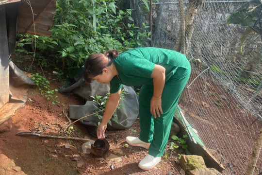 Phường Đông Gia Nghĩa “gõ từng nhà” để phòng, chống sốt xuất huyết