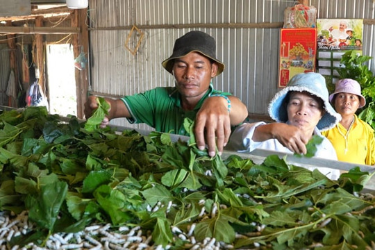 Phó Giám đốc Sở NNMT tỉnh Lâm Đồng: 5 giải pháp giảm nghèo bền vững vùng nông thôn